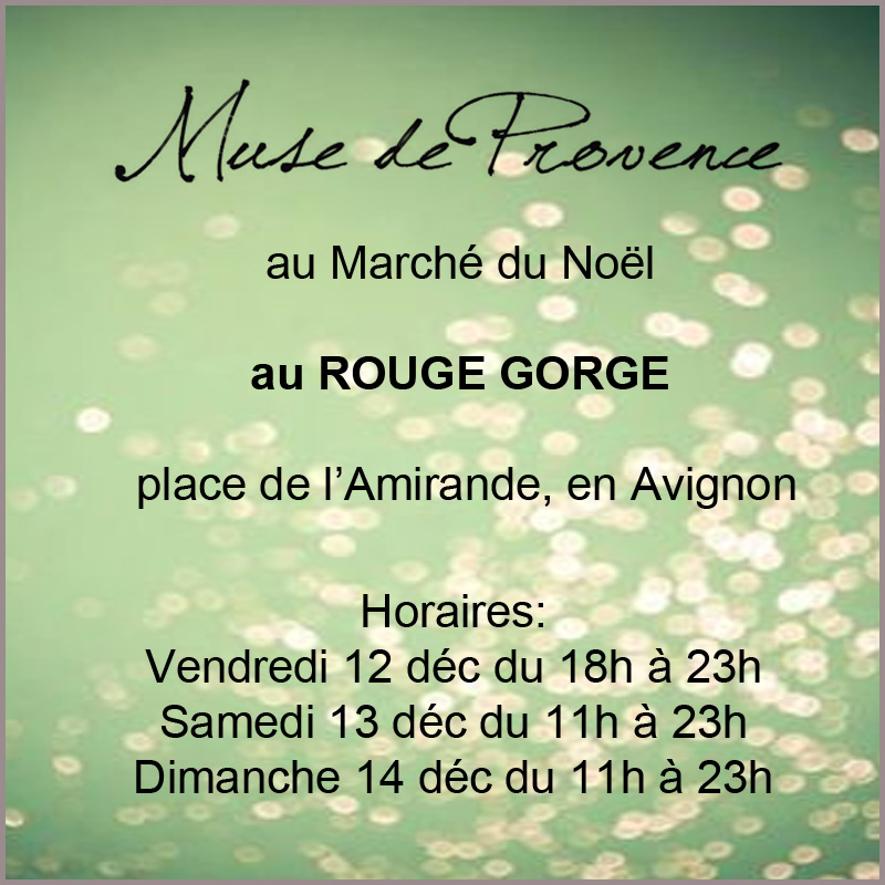 Muse de Provence en Avignon