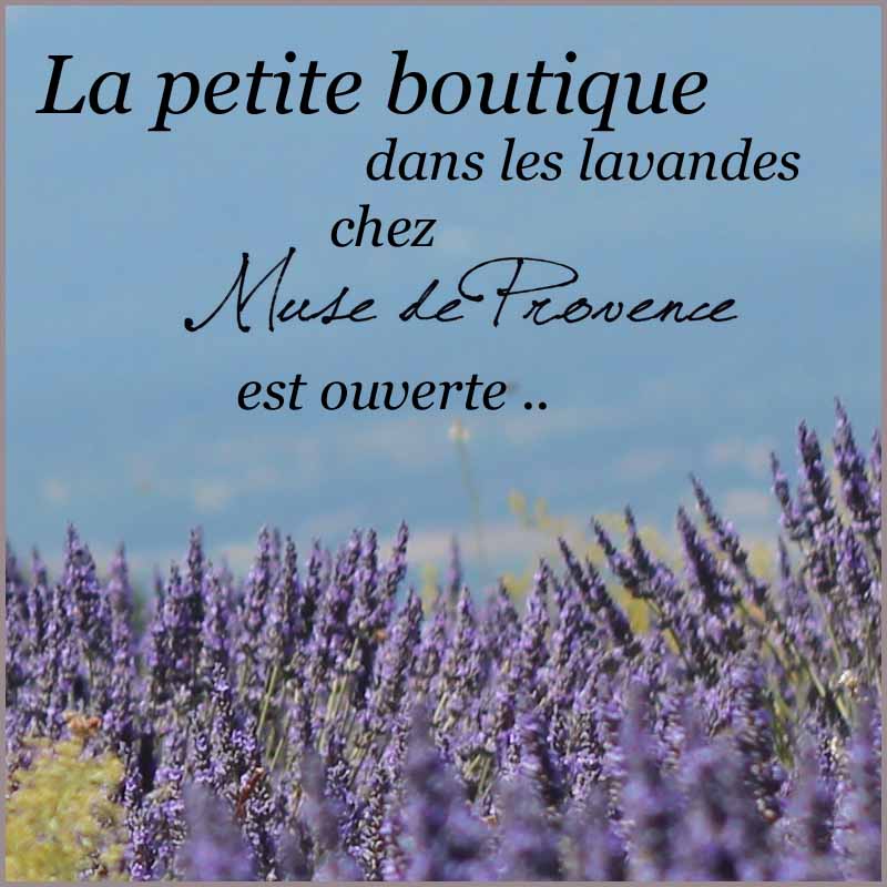 La petite boutique de Muse de Provence