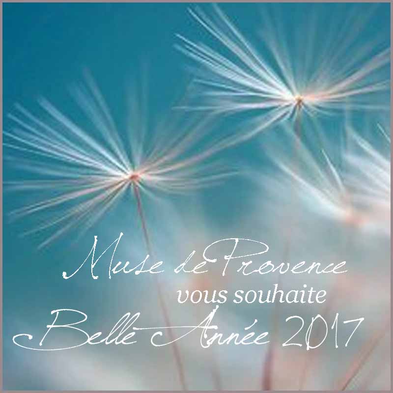 Belle Année 2017!