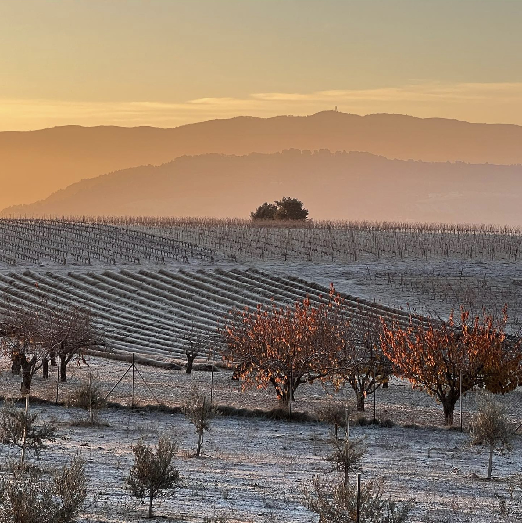 Nouvel Atelier-Boutique en Luberon